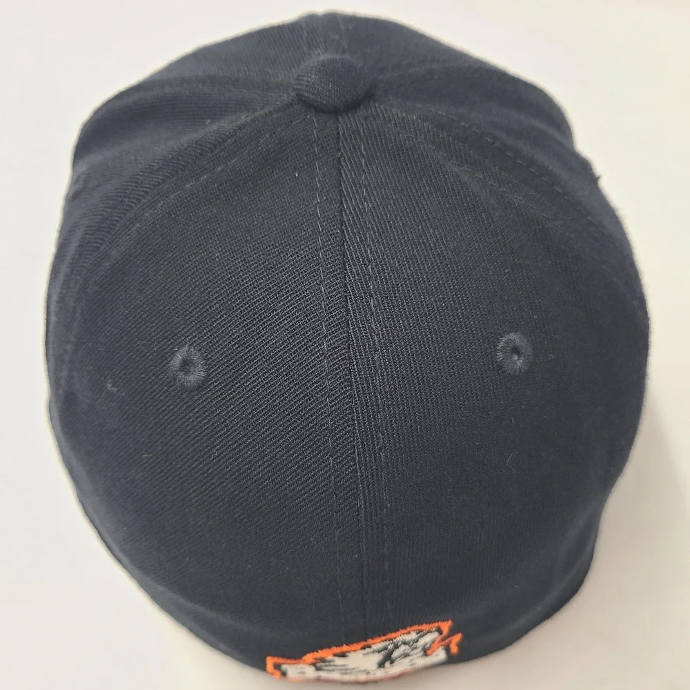 Top of the World hat seems
